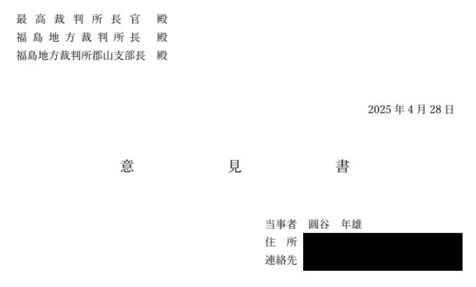 Document Submitted to the Courts—Written Opinion to the Courts and Structural Proof of Constitutional Violations in the Three-Layer Constitutional Framework
